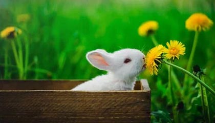 什么卡是打电销？电销企业为什么选择电销卡？